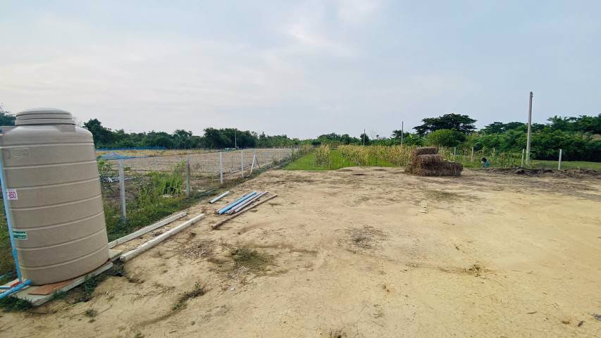 ขายสวนสวยพร้อมที่ดิน-ตบ้านยาง-อเมือง-จนครปฐม-ใกล้ทางขึ้นลงทางด่วน-บางใหญ่-เมืองกาญฯ