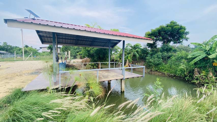 ขายสวนสวยพร้อมที่ดิน-ตบ้านยาง-อเมือง-จนครปฐม-ใกล้ทางขึ้นลงทางด่วน-บางใหญ่-เมืองกาญฯ