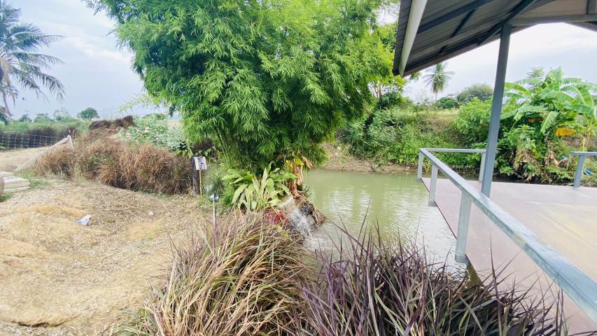 ขายสวนสวยพร้อมที่ดิน-ตบ้านยาง-อเมือง-จนครปฐม-ใกล้ทางขึ้นลงทางด่วน-บางใหญ่-เมืองกาญฯ