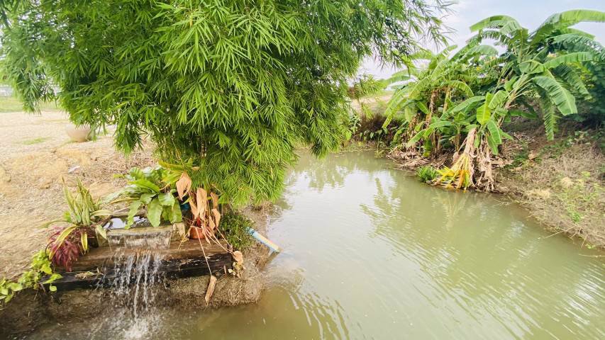 ขายสวนสวยพร้อมที่ดิน-ตบ้านยาง-อเมือง-จนครปฐม-ใกล้ทางขึ้นลงทางด่วน-บางใหญ่-เมืองกาญฯ