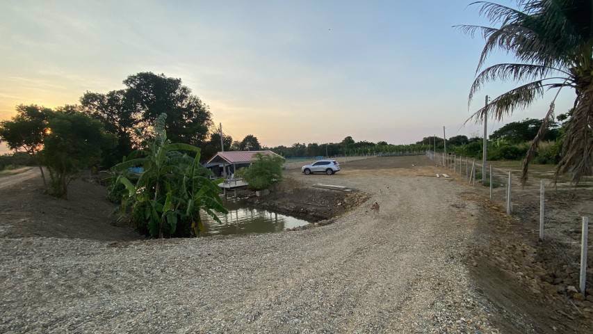 ขายสวนสวยพร้อมที่ดิน-ตบ้านยาง-อเมือง-จนครปฐม-ใกล้ทางขึ้นลงทางด่วน-บางใหญ่-เมืองกาญฯ