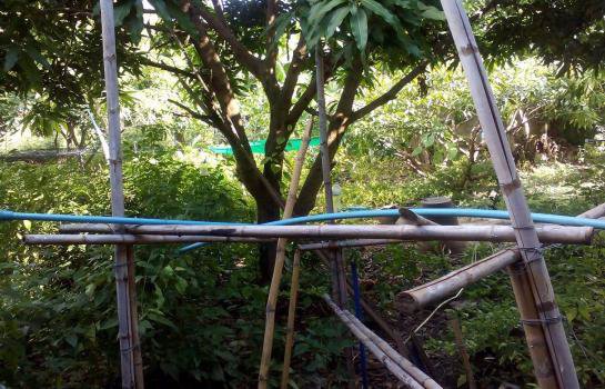 ขายตึกอาคารพาณิชย์-3-ชั้น-แยก-บางควาย-เขตตำบล-ชะอำ-อำเภอ-ชะอำ-จังหวัดเพชรบุรี