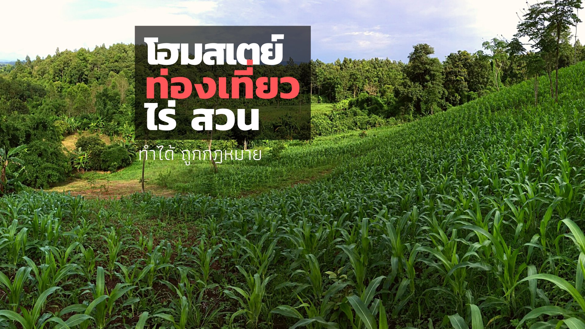 ที่สวย-12-ไร่-2-งาน-เชียงราย-เจ้าของขายเอง-โฮมสเตย์-ท่องเที่ยว-ไร่-สวน