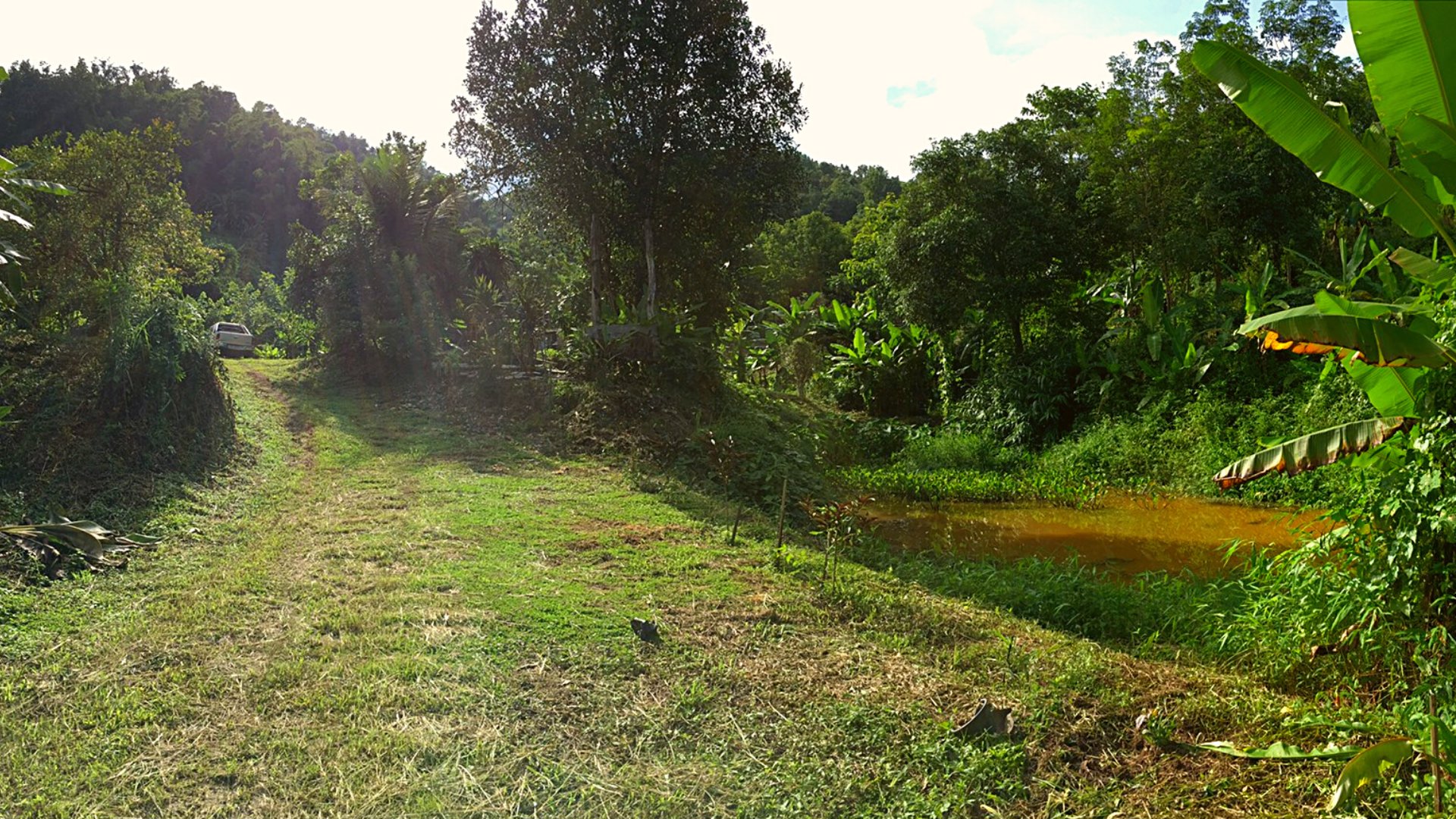 ที่สวย-12-ไร่-2-งาน-เชียงราย-เจ้าของขายเอง-โฮมสเตย์-ท่องเที่ยว-ไร่-สวน