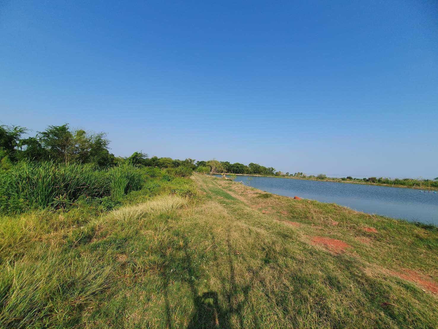 ขายที่ดินข้างศูนย์ราชการใหม่ของนครปฐม