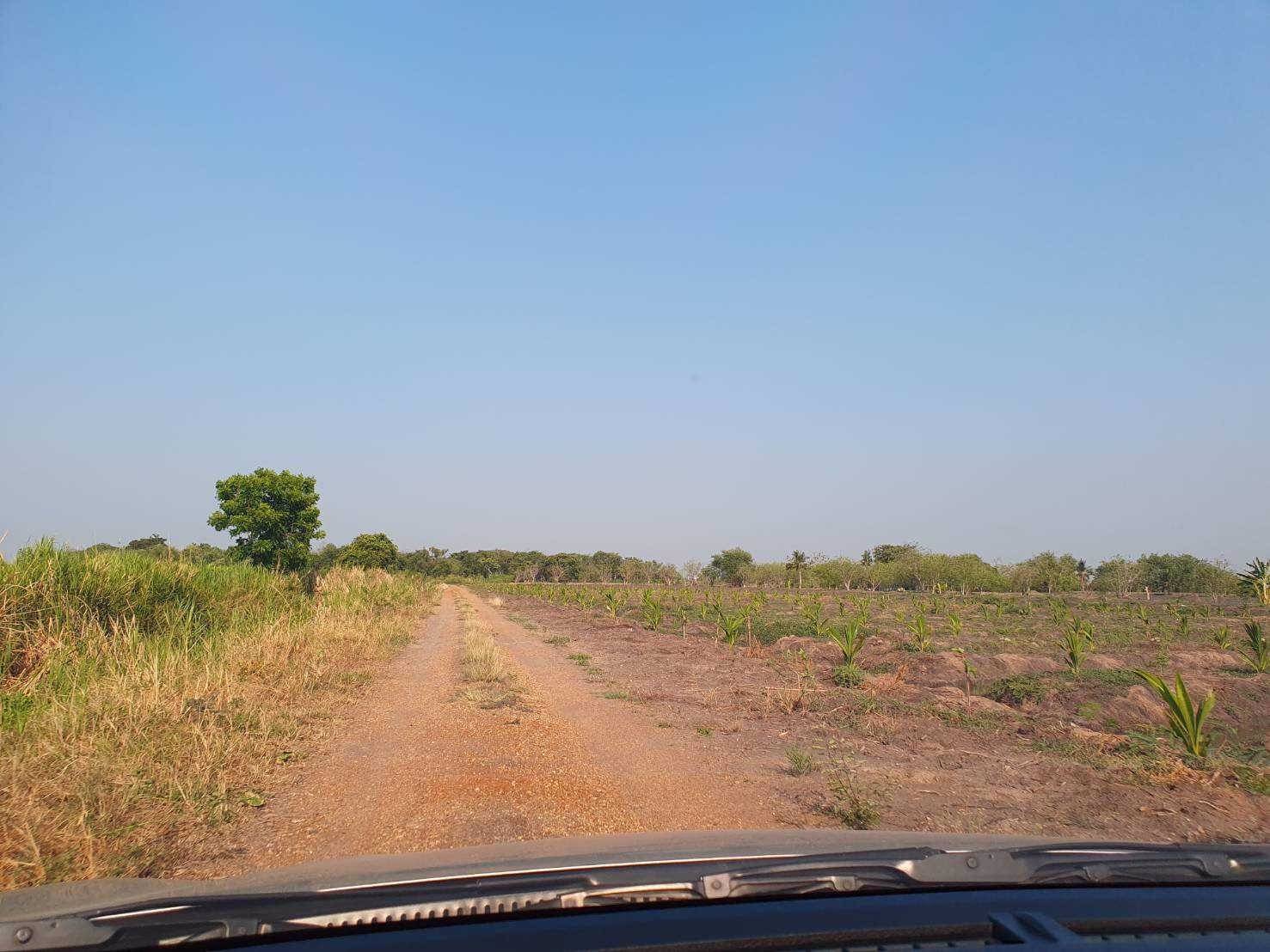 ขายที่ดินข้างศูนย์ราชการใหม่ของนครปฐม