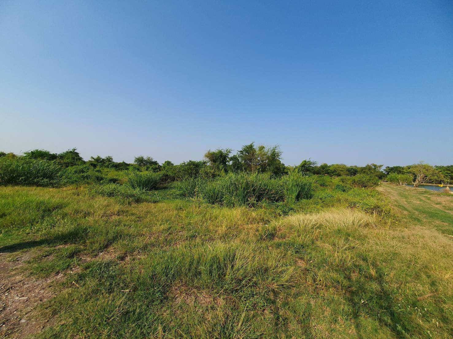 ขายที่ดินข้างศูนย์ราชการใหม่ของนครปฐม