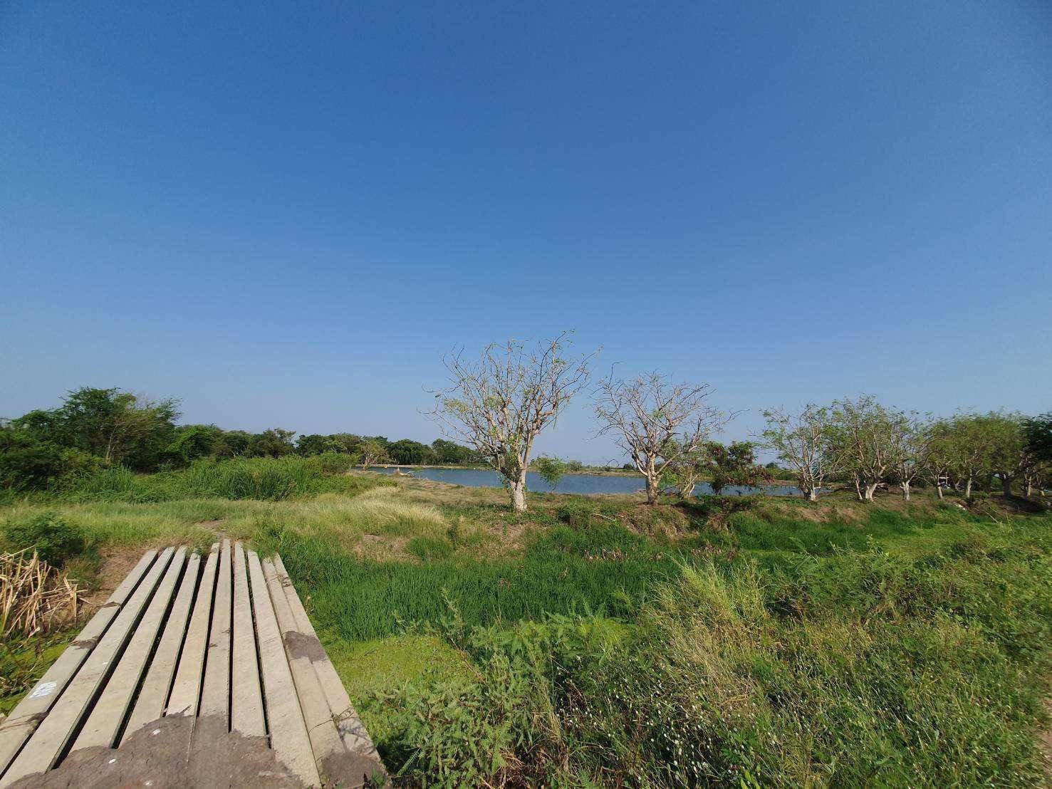 ขายที่ดินข้างศูนย์ราชการใหม่ของนครปฐม