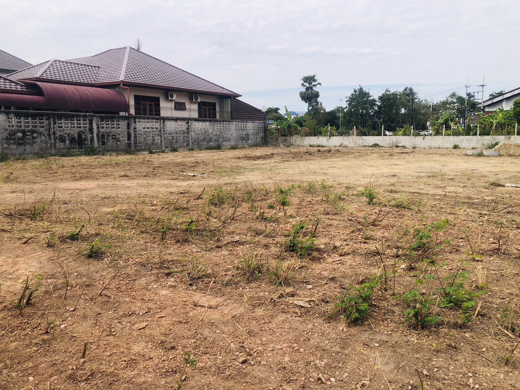 ขายที่ดิน-ที่ดิน-ที่ดินระยอง-ระยอง-เนื้อที่-3-งาน-529-ตารางวา