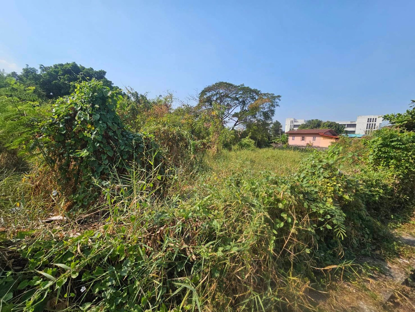 ขายที่ดินเปล่าลาดพร้าว101ซอย7ที่เปล่าใกล้mrtลาดพร้าว