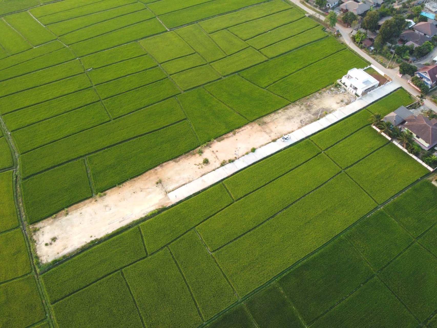 ขายที่ดินเปล่า-พิกัด-บ้านแม่สาด-ที่สวยห้อมล้อมด้วยทิวเขาและ-นาข้าวญี่ปุ่น