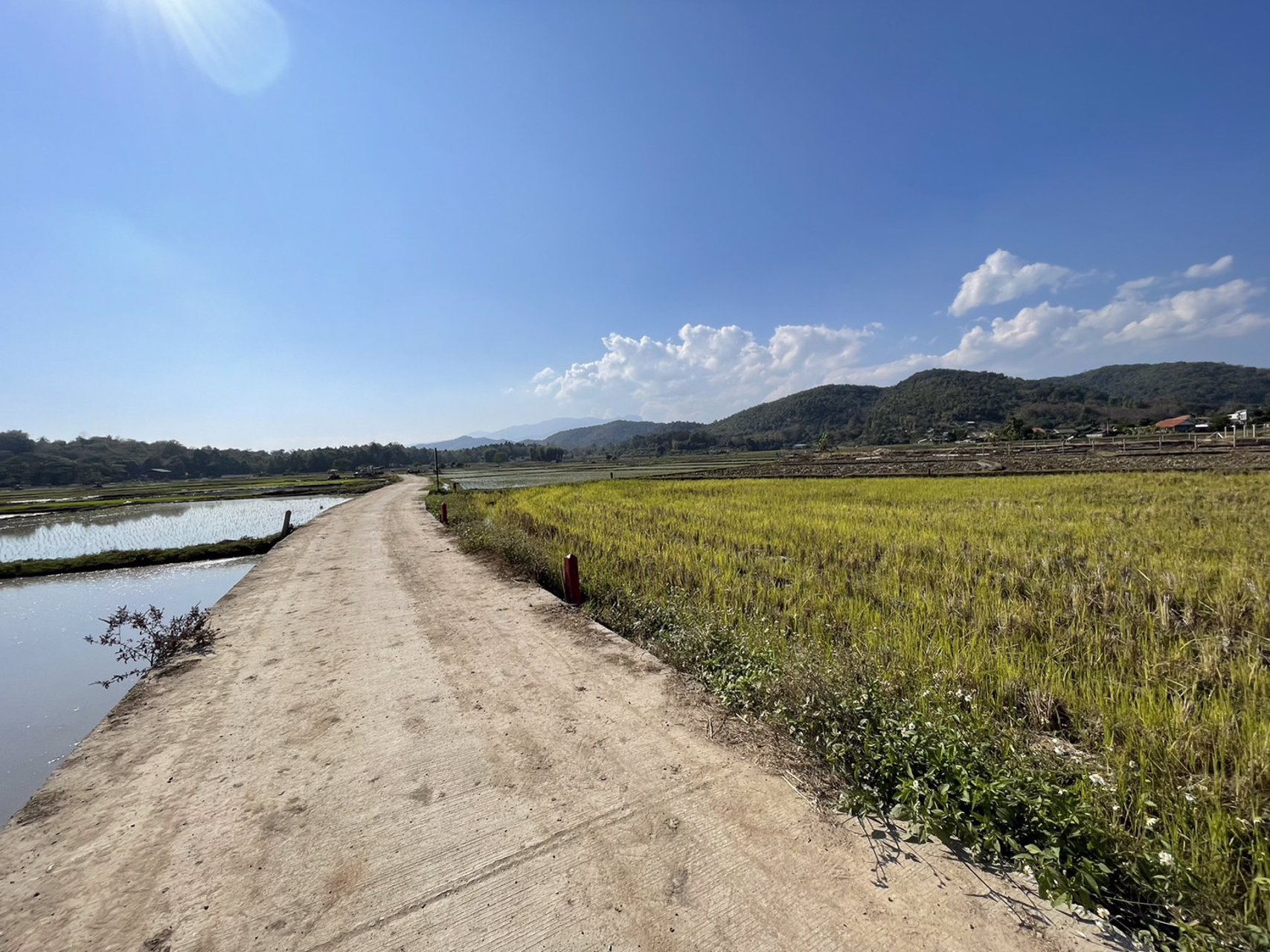 ขายที่ดินเปล่า-พิกัด-บ้านแม่สาด-ที่สวยห้อมล้อมด้วยทิวเขาและ-นาข้าวญี่ปุ่น