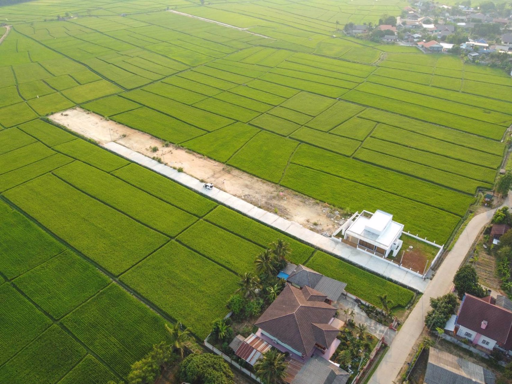 ขายที่ดินเปล่า-พิกัด-บ้านแม่สาด-ที่สวยห้อมล้อมด้วยทิวเขาและ-นาข้าวญี่ปุ่น