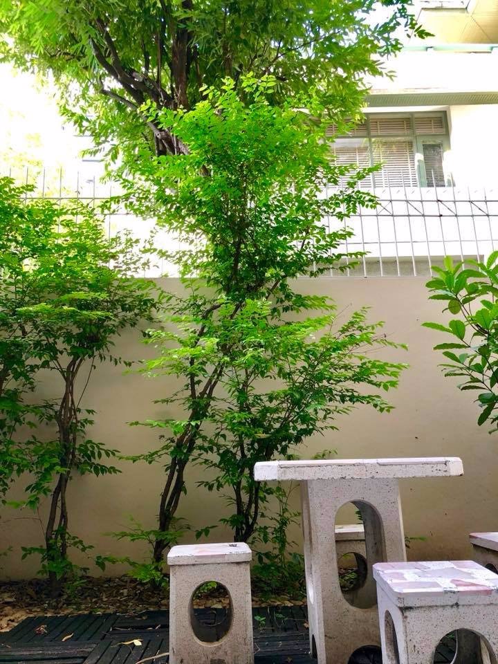 ให้เช่าบ้าน-ออฟฟิศ-หมูบ้าน-ชิชาสุขุมวิทซอย-31-ใกล้เอ็มโพเรียม-เอ็มควอเทียร์