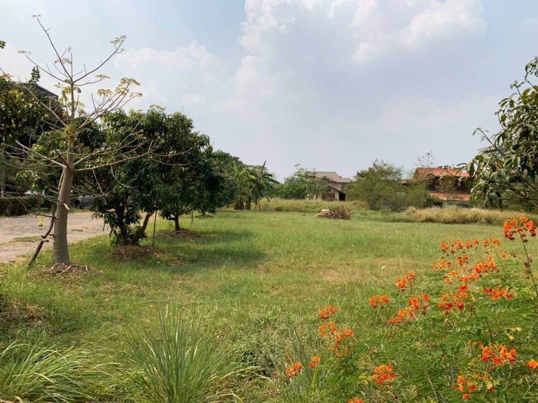 ทื่ดินย่านเศรษฐกิจ-รามอินทรา-กม8-สถานีรถไฟฟ้าสายสีชมพู-100-เมตร