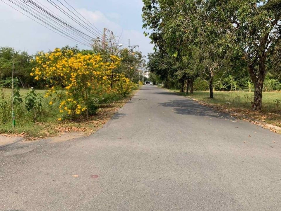 ทื่ดินย่านเศรษฐกิจ-รามอินทรา-กม8-สถานีรถไฟฟ้าสายสีชมพู-100-เมตร