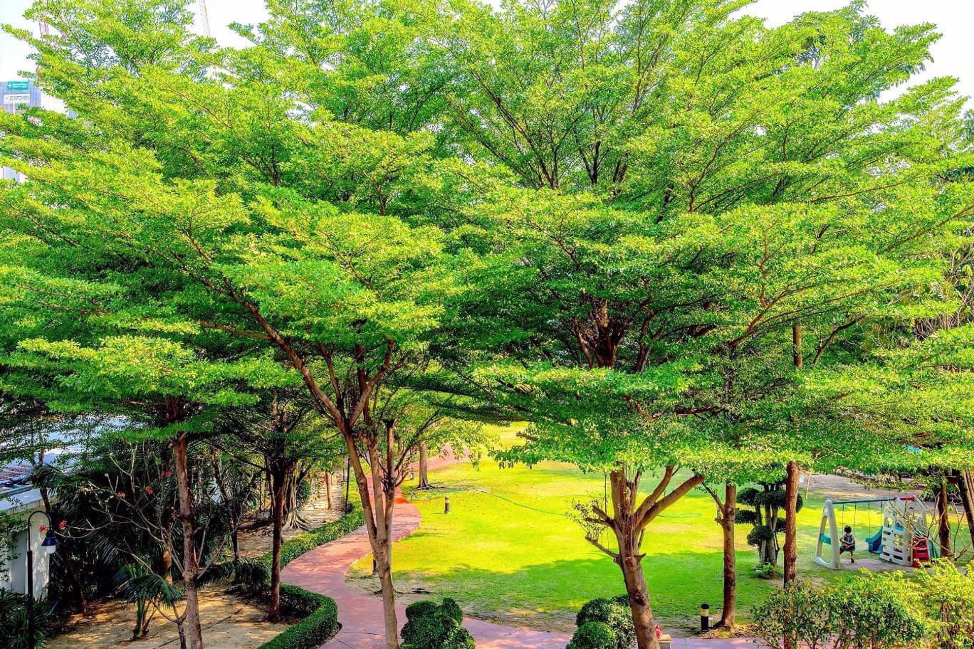 ให้เช่าคอนโด-วอเตอร์ฟอร์ด-สุขุมวิท-50-ขนาด-2-นอน-ใกล้รถไฟฟ้า-อ่อนนุช