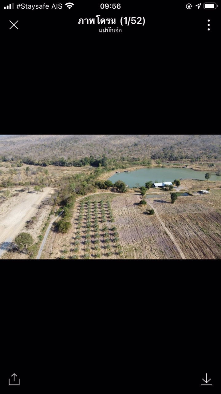 ขายที่ดิน-6แปลงโฉนดติดกัน-รวมเนื้อที่-106-ไร่-ขาย-80-ล้านบาท