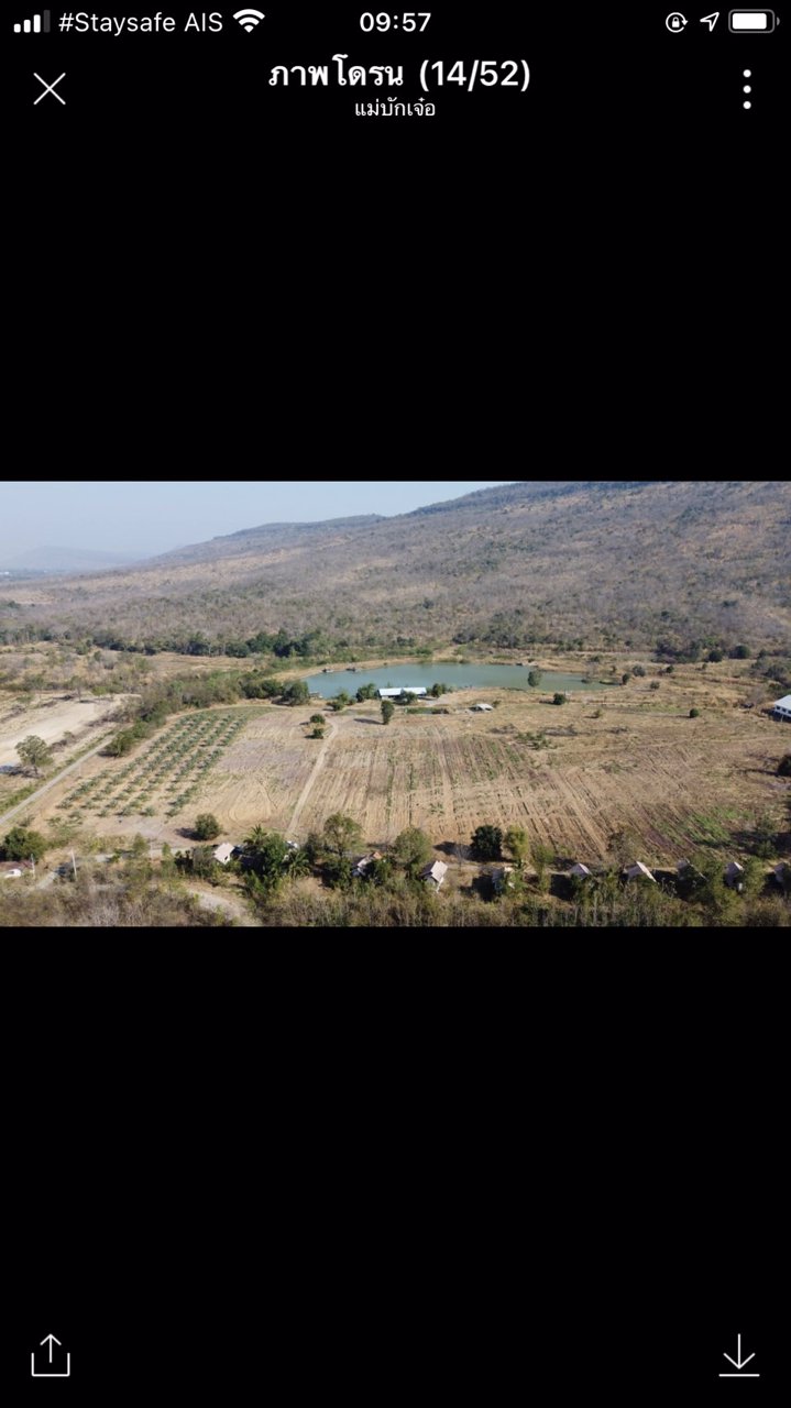 ขายที่ดิน-6แปลงโฉนดติดกัน-รวมเนื้อที่-106-ไร่-ขาย-80-ล้านบาท