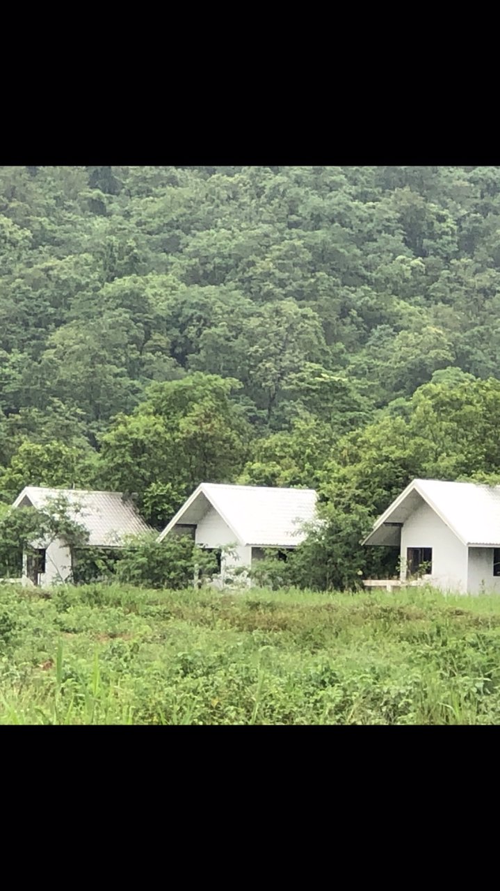 ขายที่ดิน-6แปลงโฉนดติดกัน-รวมเนื้อที่-106-ไร่-ขาย-80-ล้านบาท