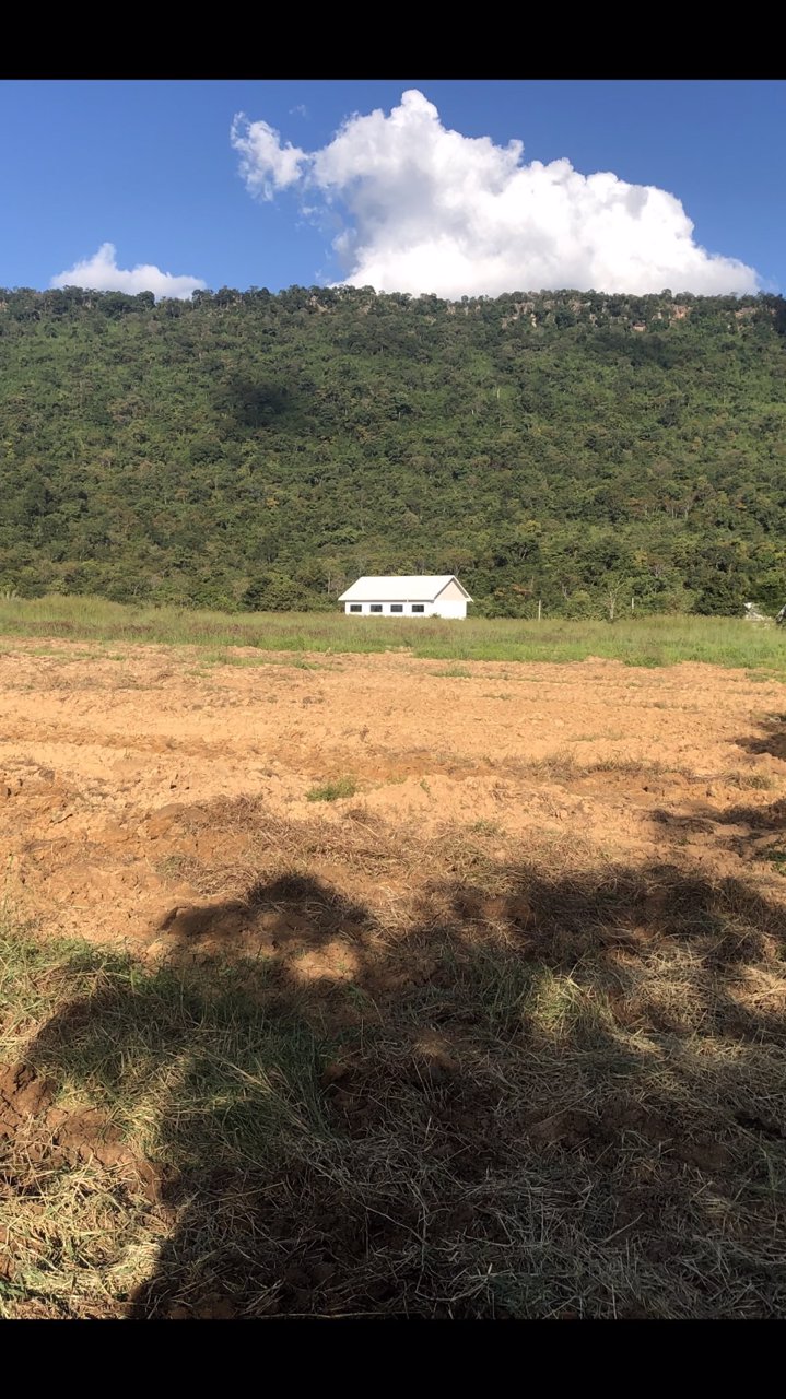 ขายที่ดิน-6แปลงโฉนดติดกัน-รวมเนื้อที่-106-ไร่-ขาย-80-ล้านบาท