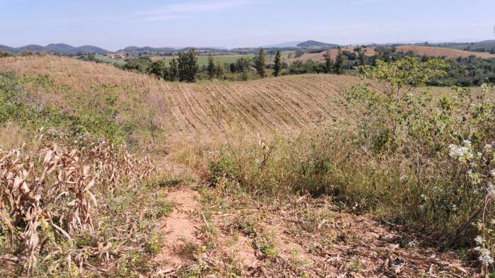 ขายที่ดิน-15ไร่-บนภูเขาบรรยากาศดี-นครราชสีมา-ปากช่อง-วังไทร