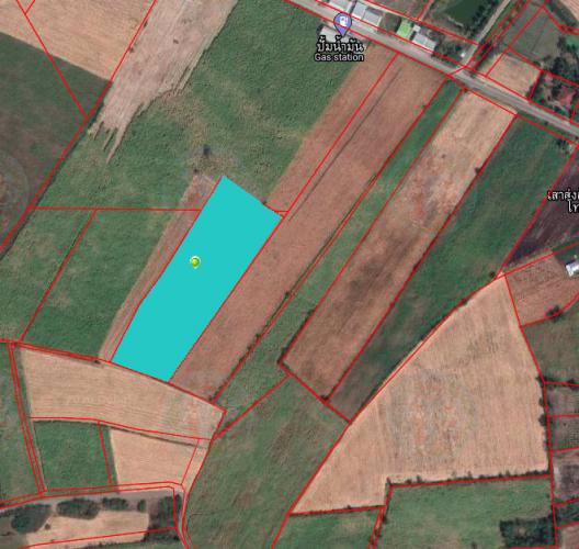 ขายที่ดิน-15ไร่-บนภูเขาบรรยากาศดี-นครราชสีมา-ปากช่อง-วังไทร