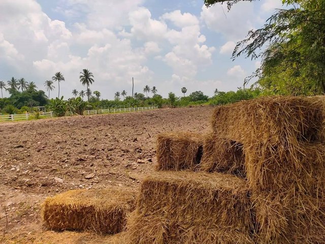 ที่ดินเปล่าใกล้ถนนใหญ๋-1ไร่-1งาน-41ตรว