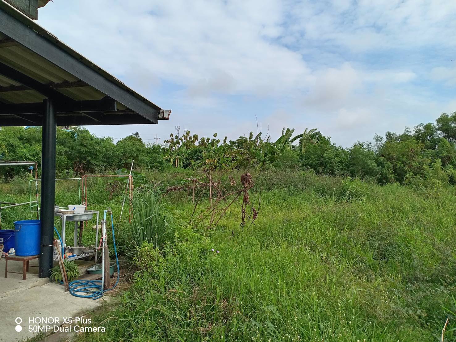 ขายที่ดินเปล่า