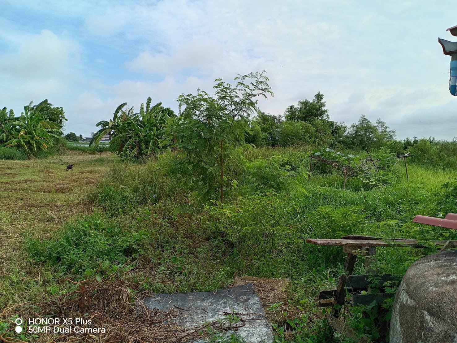 ขายที่ดินเปล่า