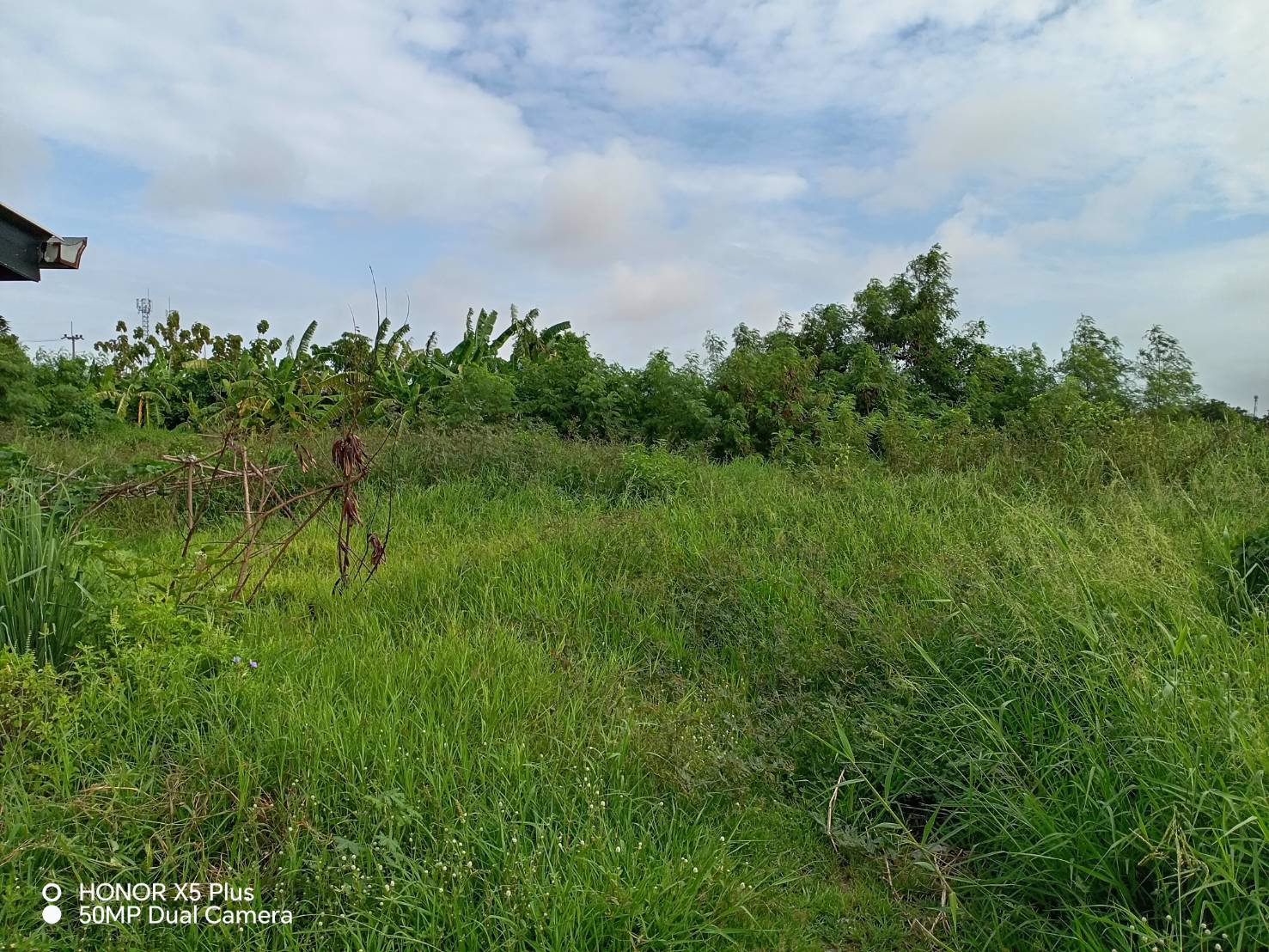 ขายที่ดินเปล่า