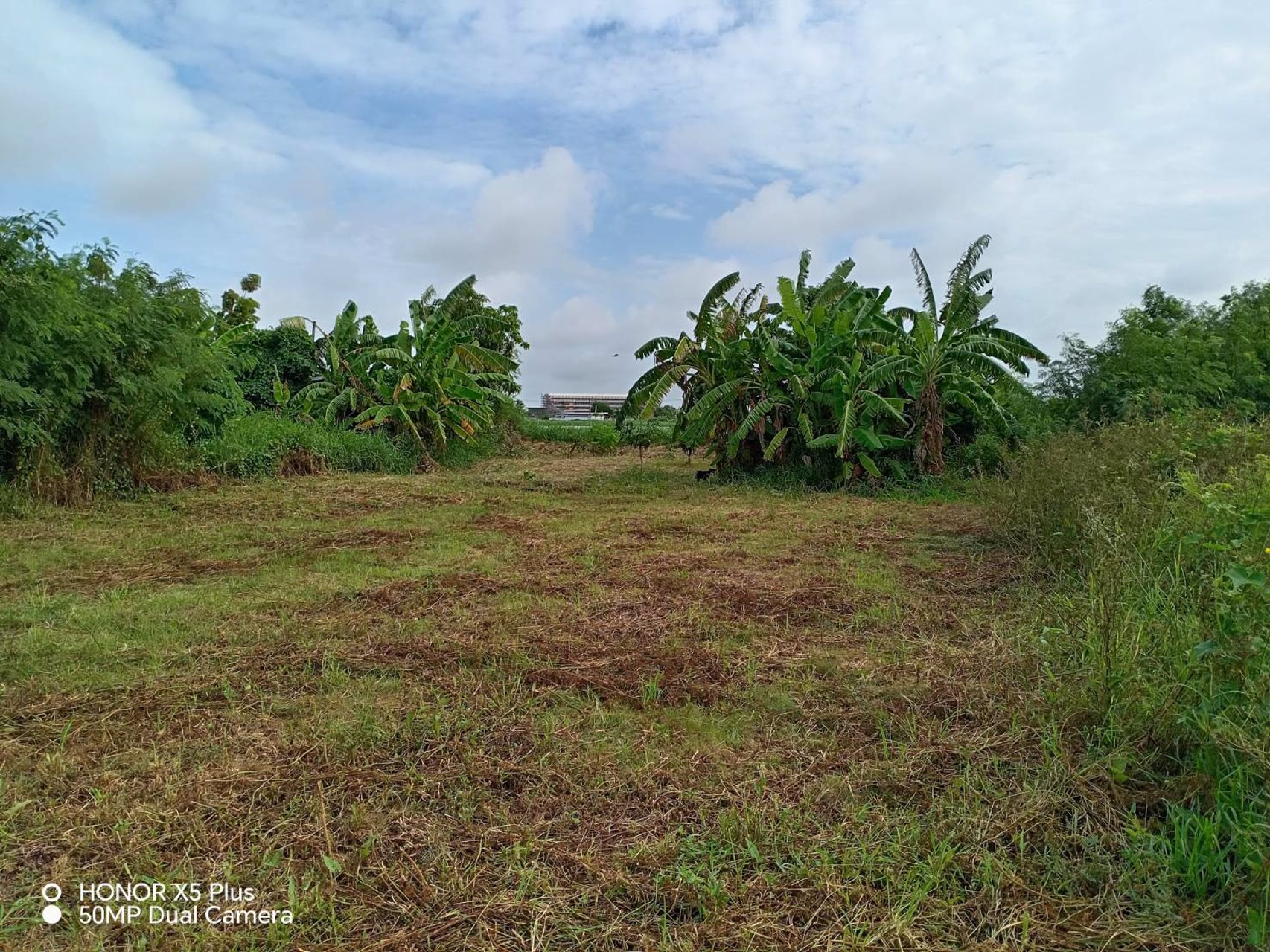 ขายที่ดินเปล่า