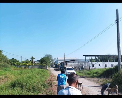 ขายที่ดินเนื้อที่แปลงละ-100-ตารางวา-มี-2-แปลงติดกัน