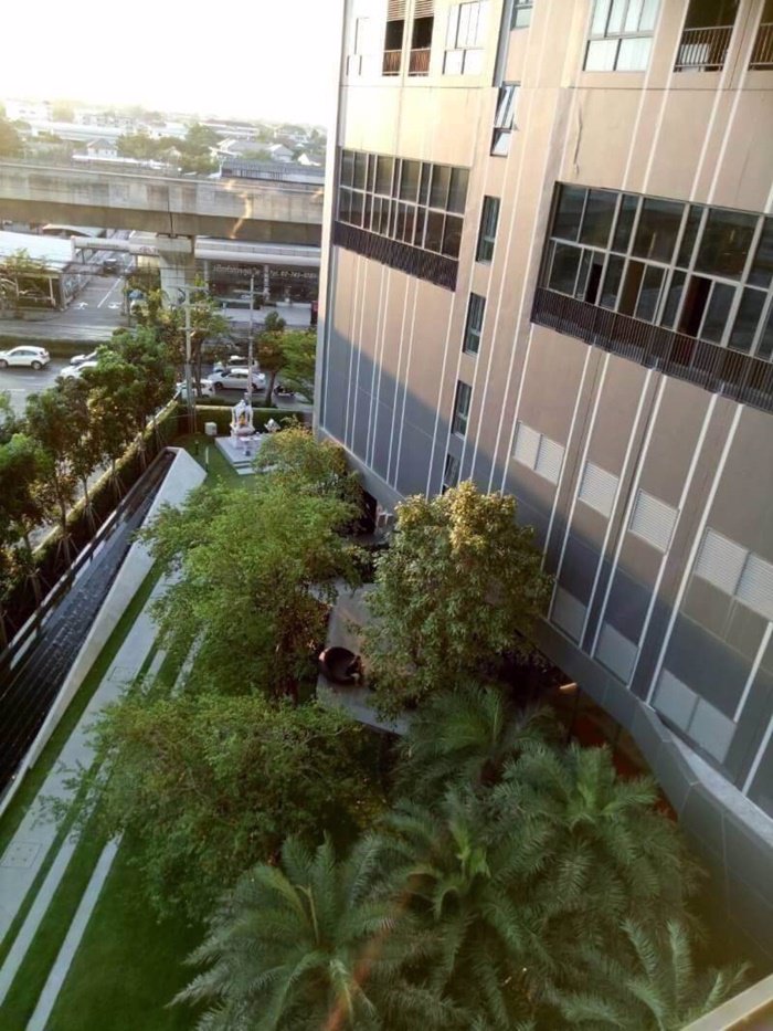 ให้เช่า-ถูกๆ-sudio-ideo-mobi-sukhumvit-east-gate-9000-บาท-ห้องใหม่-พร้อมอยู่-วิวสวน-bts-บางนา