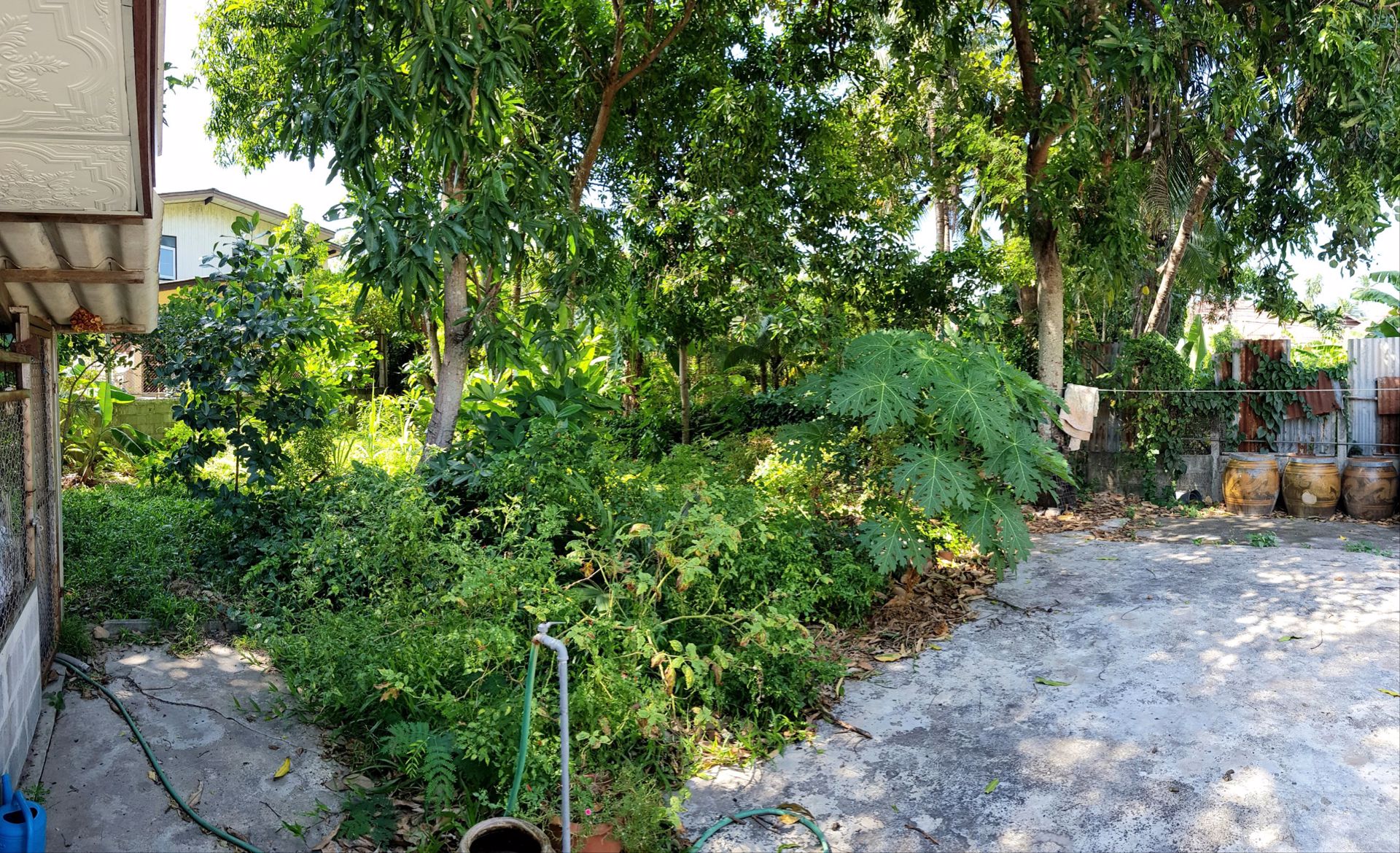 ขายบ้านไม้-2-ชั้น-พร้อมสวน-บนเนื้อที่-175-ตรว-ในซอยตรงข้ามวัดหลักร้อย