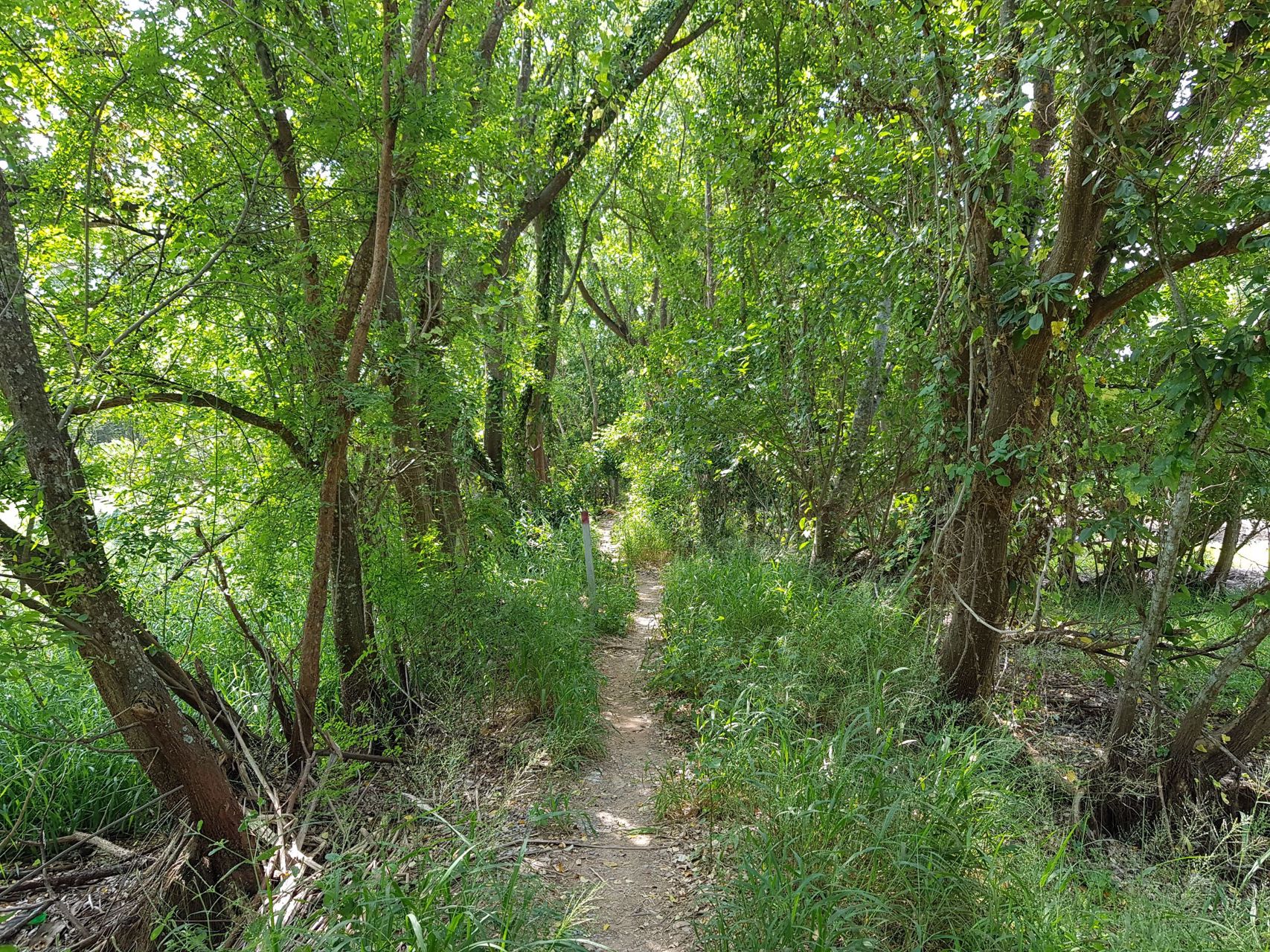 ขายที่ดิน-4-1-88-ไร่-ใกล้บายพาส-ใกล้โฮมโปร-บายพาส