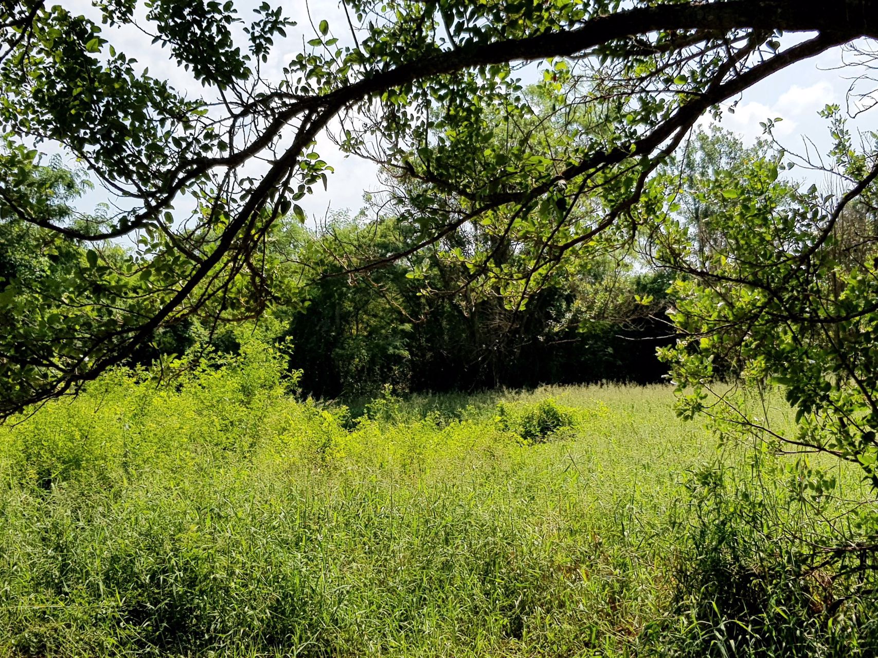 ขายที่ดิน-4-1-88-ไร่-ใกล้บายพาส-ใกล้โฮมโปร-บายพาส