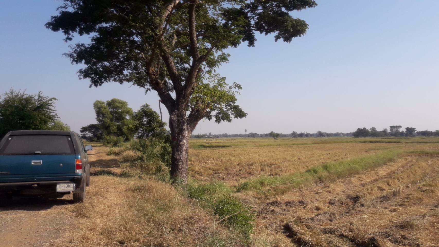 ขายที่นา-28-3-91-ไร่-หลังฮกกี่-เมการ์สโตร์-พิมาย-เพียงไร่ละ-350000-บาท