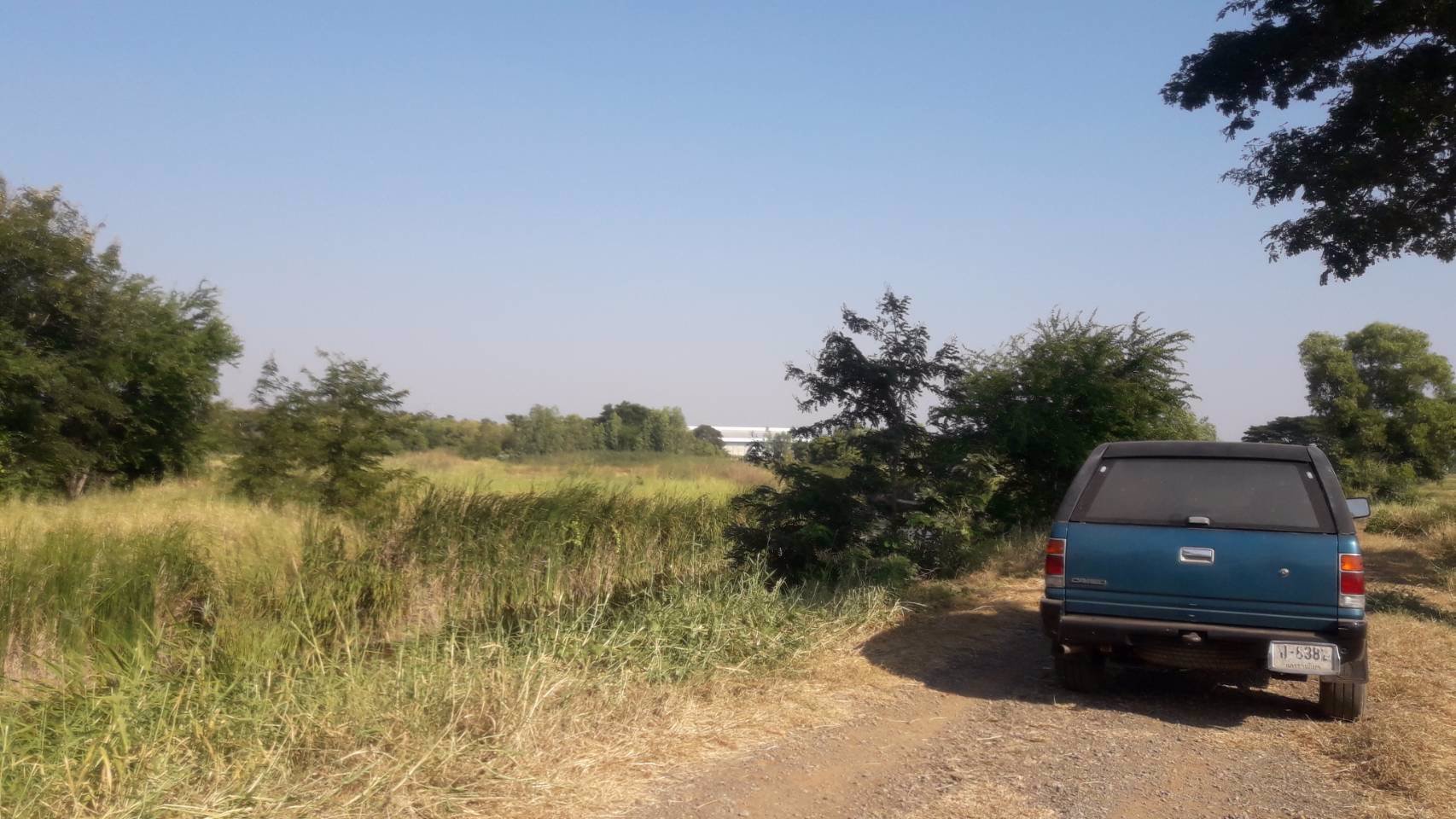 ขายที่นา-28-3-91-ไร่-หลังฮกกี่-เมการ์สโตร์-พิมาย-เพียงไร่ละ-350000-บาท