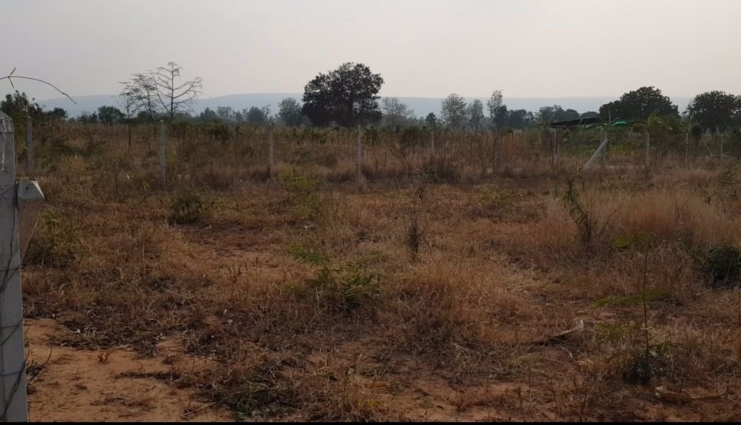 ขายที่ดินเปล่า-299-ตรว-สำหรับทำรีสอร์ท-บ้านพักตากอากาศ-ลาดบัวขาว-สีคิ้ว