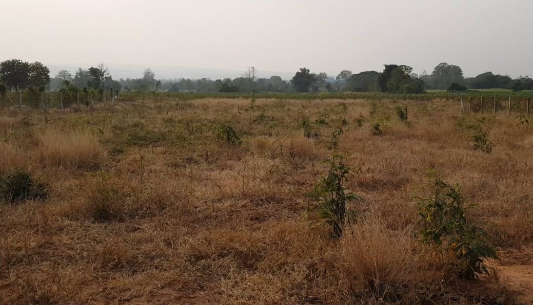 ขายที่ดินเปล่า-299-ตรว-สำหรับทำรีสอร์ท-บ้านพักตากอากาศ-ลาดบัวขาว-สีคิ้ว