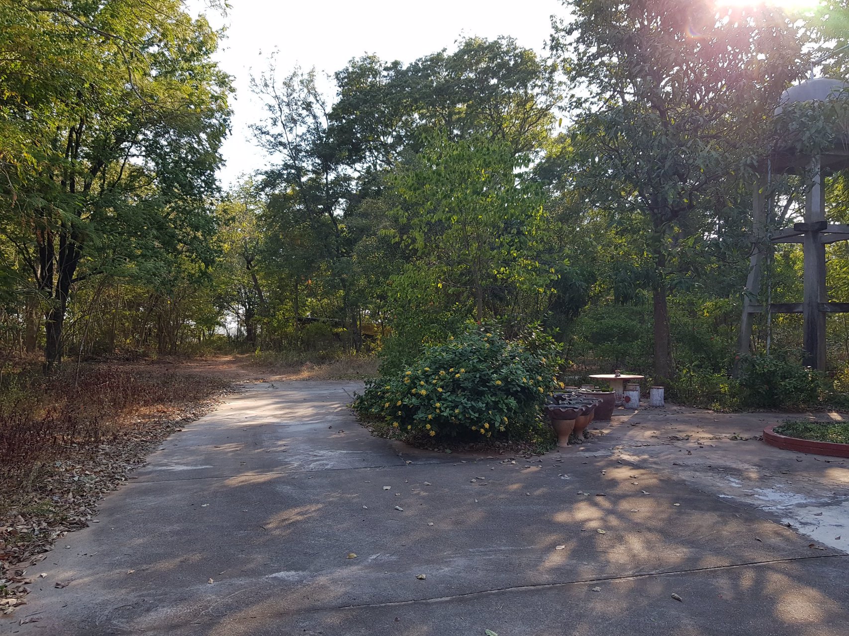 ขายที่ดิน-27-ไร่-พร้อมสิ่งปลูกสร้าง-หน้ากว้างกว่า-200-เมตร-ใกล้มีโชค-ขนส่ง-โชคชัย