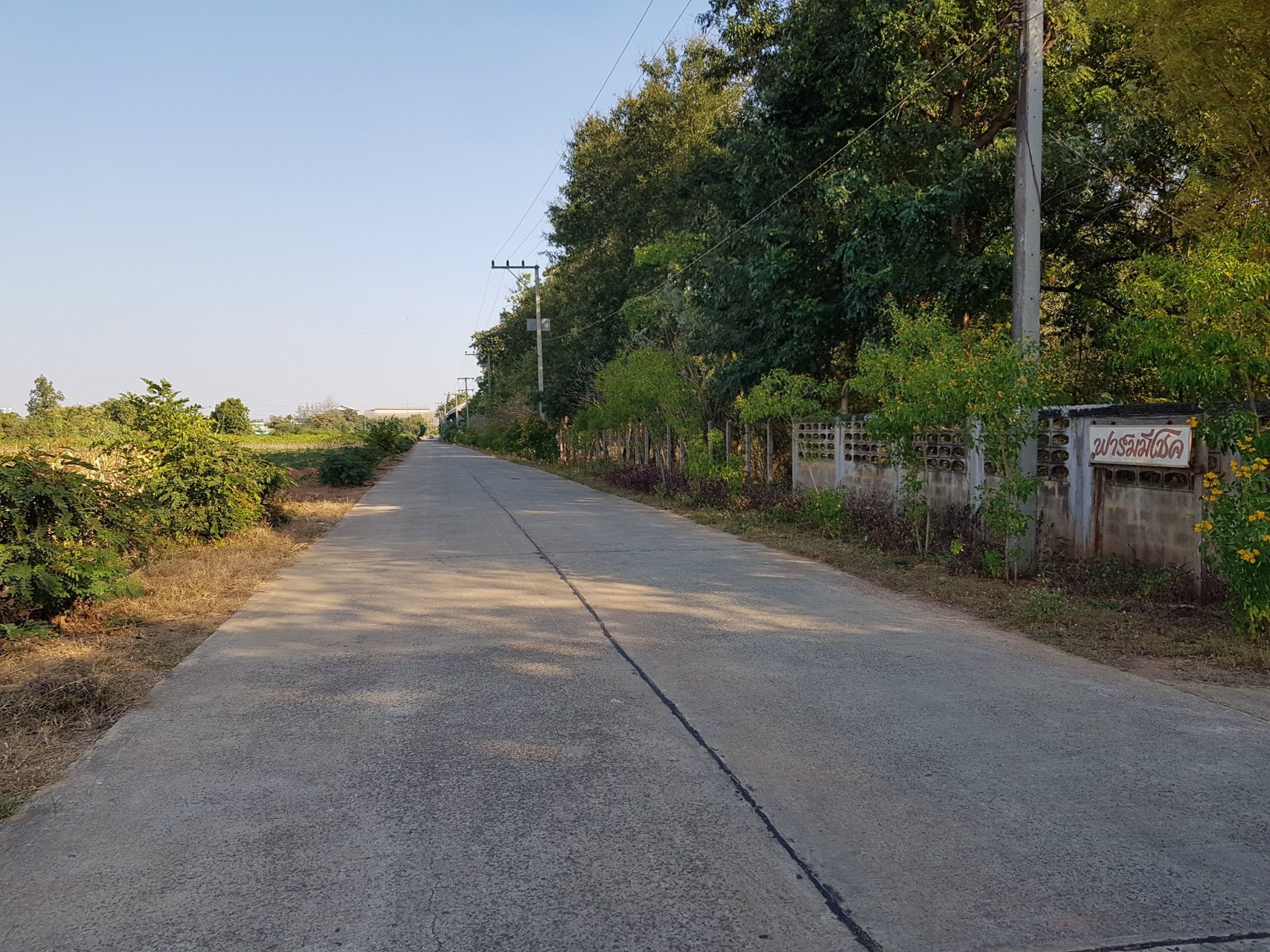 ขายที่ดิน-27-ไร่-พร้อมสิ่งปลูกสร้าง-หน้ากว้างกว่า-200-เมตร-ใกล้มีโชค-ขนส่ง-โชคชัย