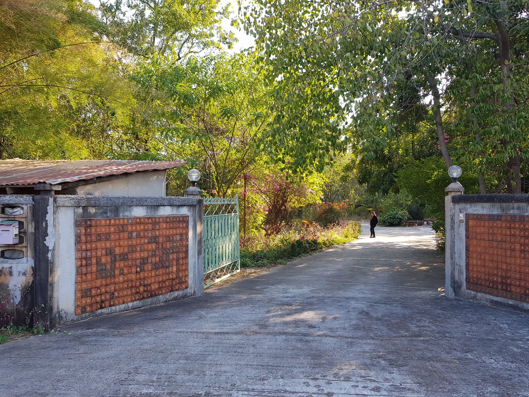 ขายที่ดิน-27-ไร่-พร้อมสิ่งปลูกสร้าง-หน้ากว้างกว่า-200-เมตร-ใกล้มีโชค-ขนส่ง-โชคชัย