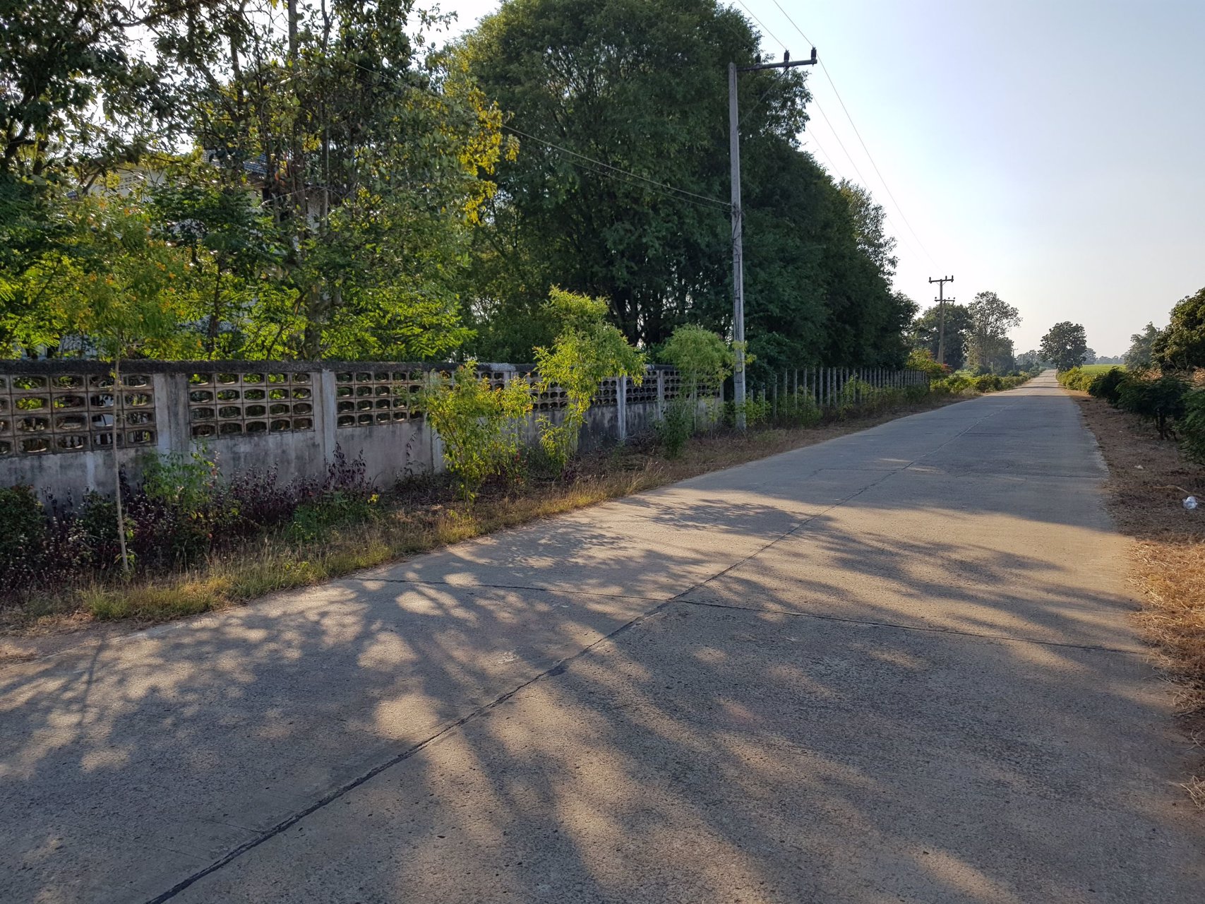 ขายที่ดิน-27-ไร่-พร้อมสิ่งปลูกสร้าง-หน้ากว้างกว่า-200-เมตร-ใกล้มีโชค-ขนส่ง-โชคชัย