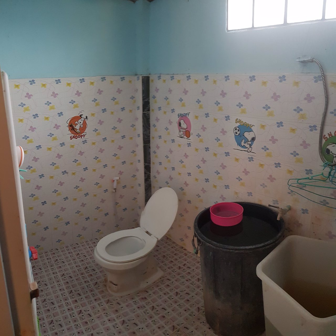 ขายบ้านเดี่ยว-2-ชั้น-บนเนื้อที่-2-2-24-ไร่-ตหนองหัวฟาน-อขามสะแกแสง