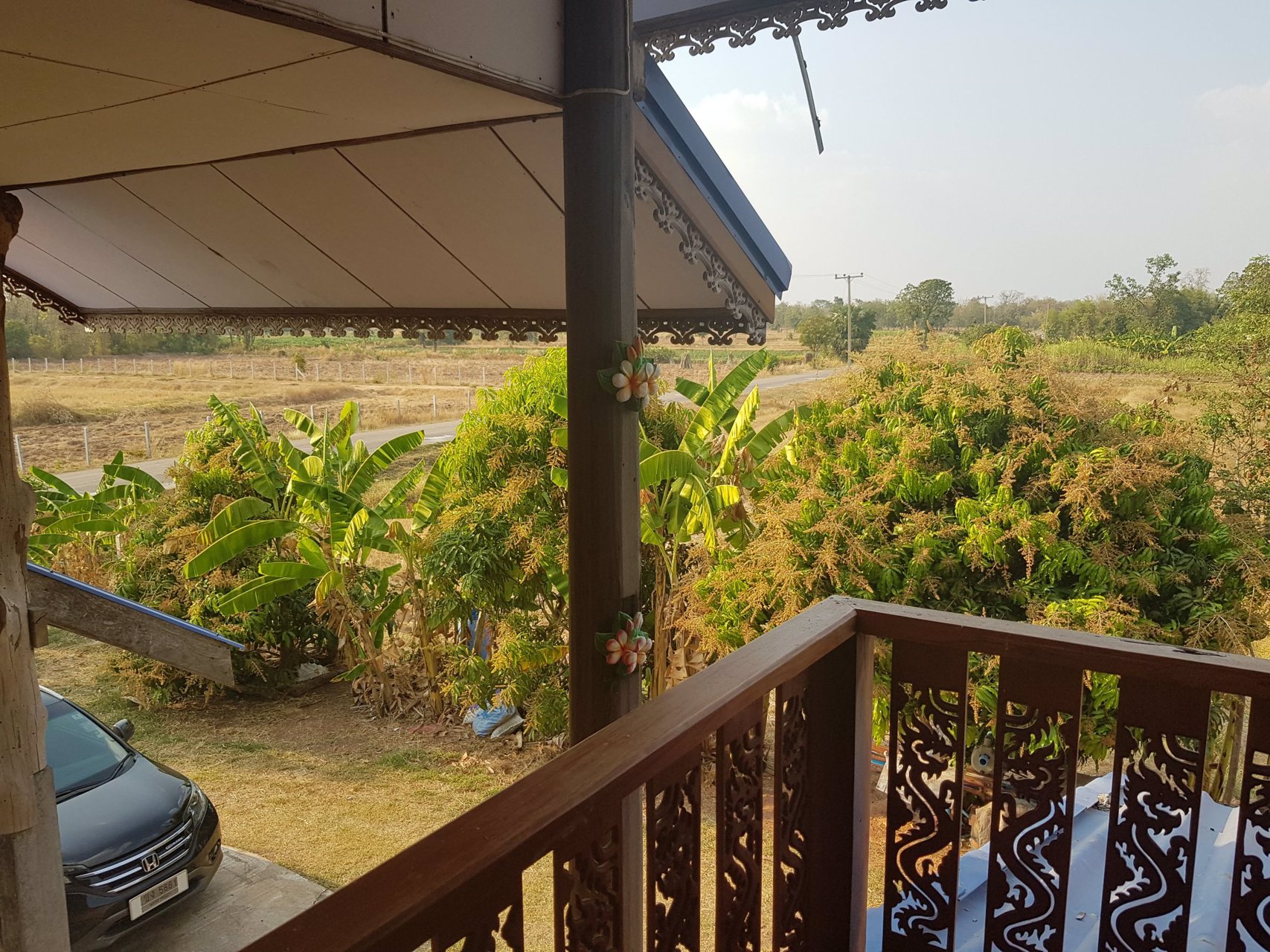 ขายบ้านเดี่ยว-2-ชั้น-บนเนื้อที่-2-2-24-ไร่-ตหนองหัวฟาน-อขามสะแกแสง