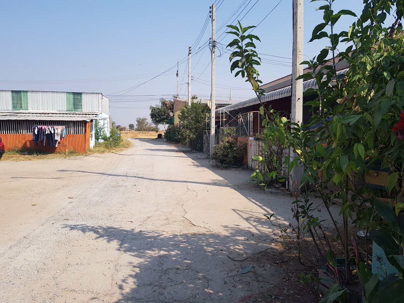 ขายทาวน์โฮม-36-ตรว-ใกล้นวนคร-ใกล้ซีเกท-ราคาไม่แพง