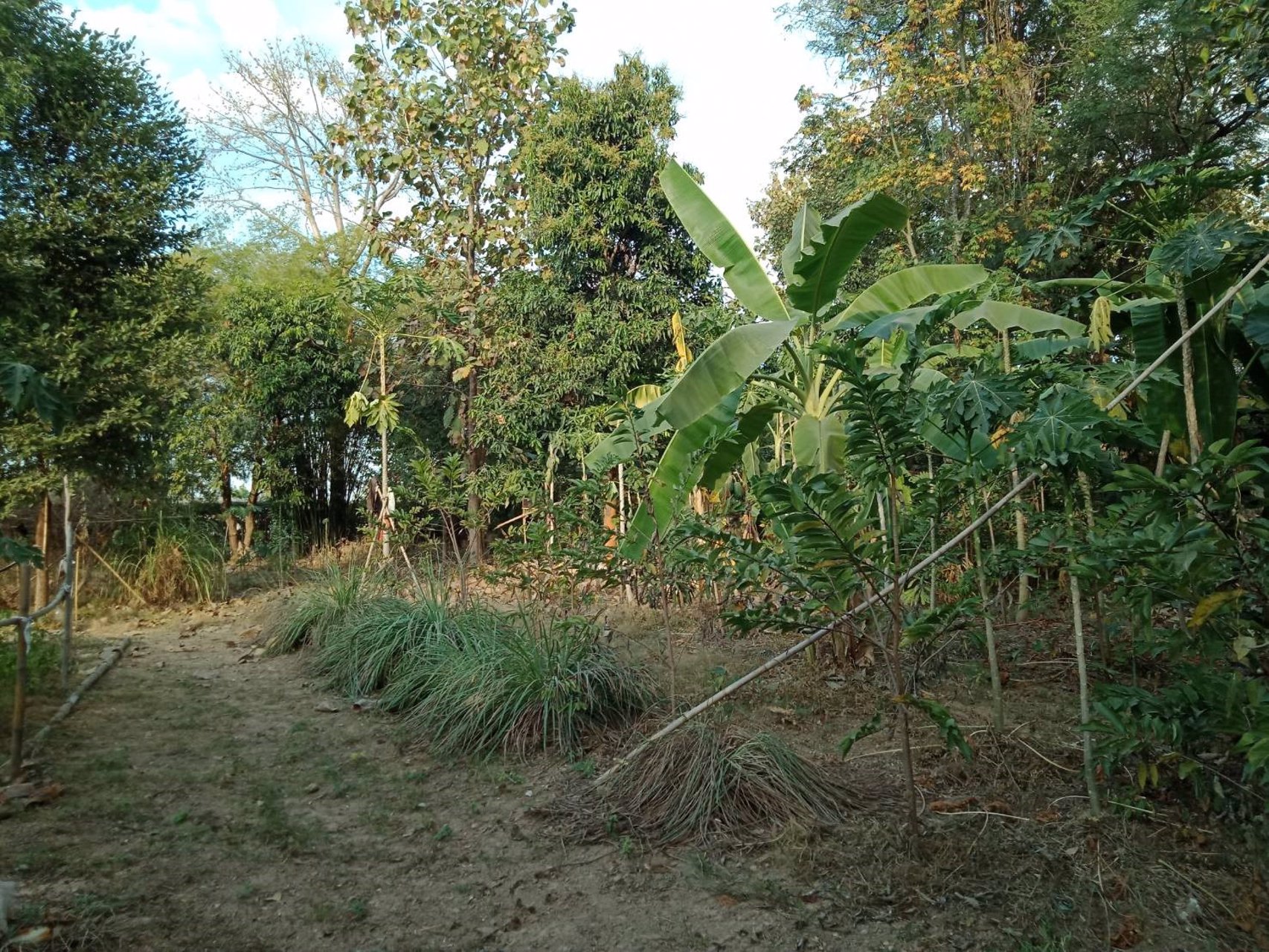 ขายที่สวนทำเลงาม