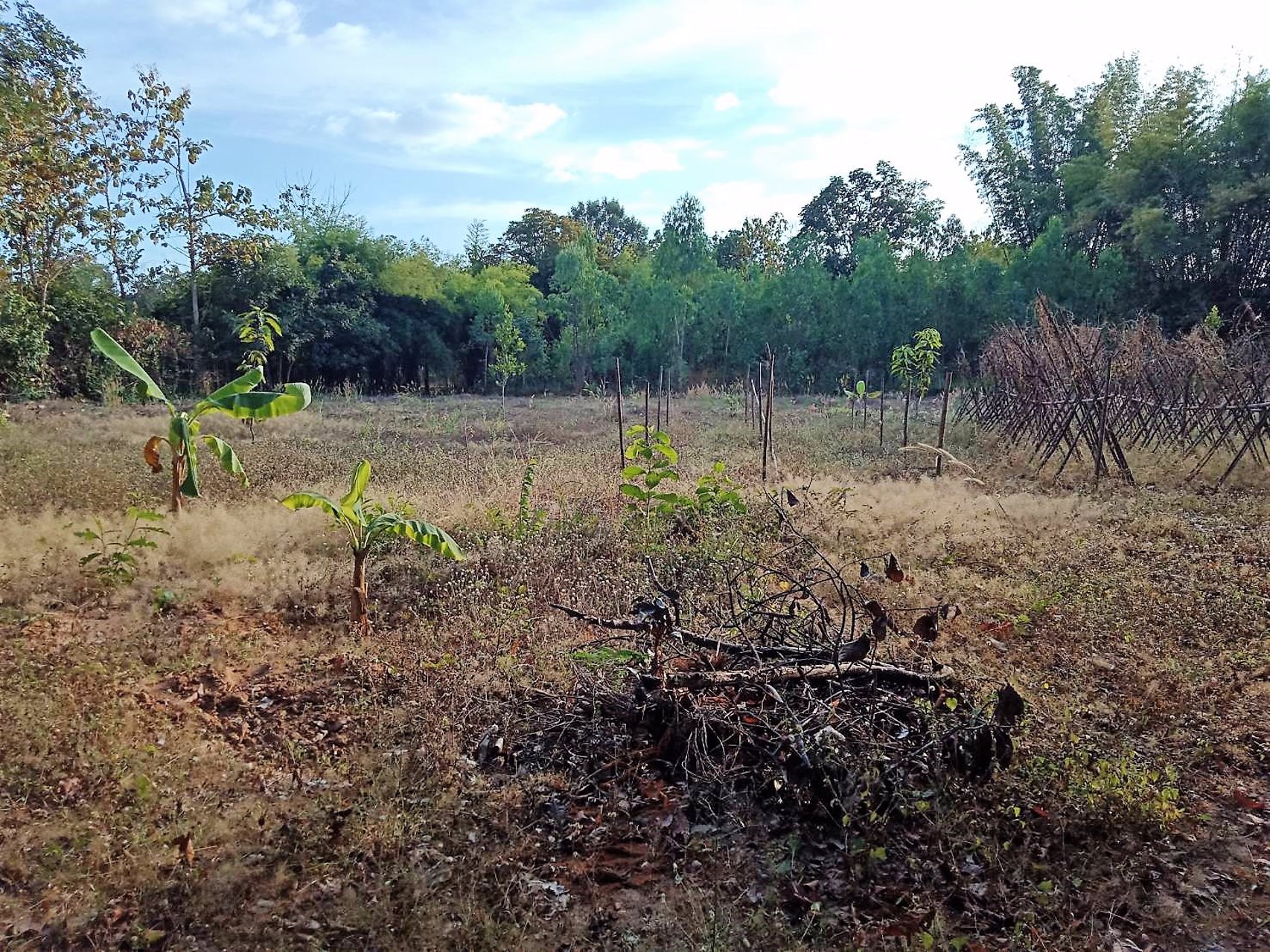 ขายที่สวนทำเลงาม